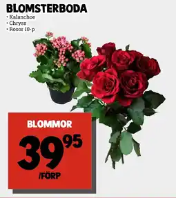 MatArket Blomsterboda Blommor erbjuda
