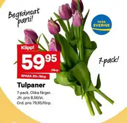 City Gross Tulpaner erbjuda