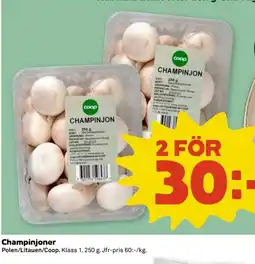 Coop Coop Champinjoner erbjuda