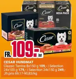 ÖoB Cesar Hundmat erbjuda