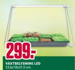 ÖoB Växtbelysning Led erbjuda