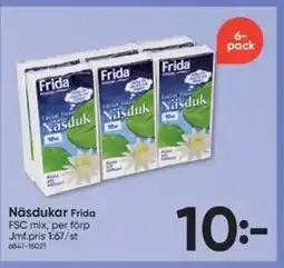 DollarStore Frida Näsdukar erbjuda