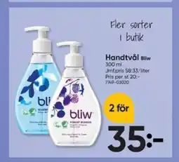 DollarStore Bliw Handtvål erbjuda