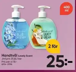 DollarStore Handtvål Lovely Scent erbjuda