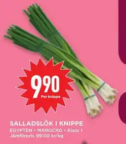 Willys Hemma SALLADSLÖK I KNIPPE erbjuda