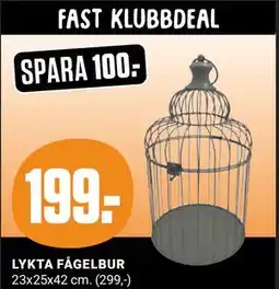 ÖoB LYKTA FÅGELBUR, Medlemspris erbjuda