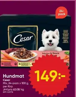 DollarStore Cesar Hundmat erbjuda