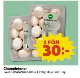 Coop Daglivs Champinjoner erbjuda