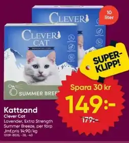 DollarStore Clever Cat Kattsand erbjuda