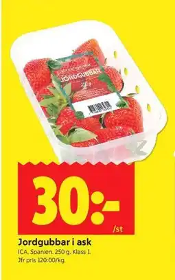 ICA Kvantum Jordgubbar i ask erbjuda