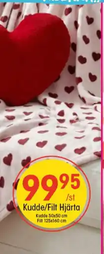 EKO Kudde/Filt Hjärta erbjuda