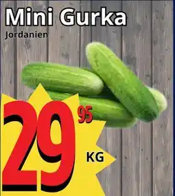 Supergrossen Mini Gurka erbjuda