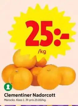 ICA Supermarket Clementiner Nadorcott erbjuda