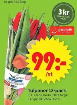 ICA Supermarket TULPANER 12-PACK erbjuda