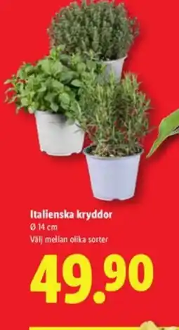 Lidl Italienska kryddor erbjuda