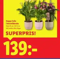 Lidl Happy Calla i keramikkruka erbjuda