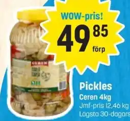 Eurocash Ceren Pickles erbjuda