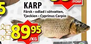 KARP