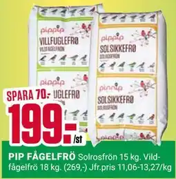 ÖoB PIP FÅGELFRÖ erbjuda