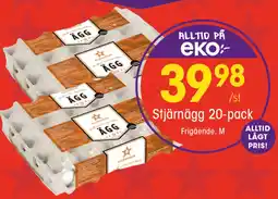 EKO Stjärnägg erbjuda