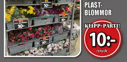 Extra Mjällby Stormarknad Plast-blommor erbjuda