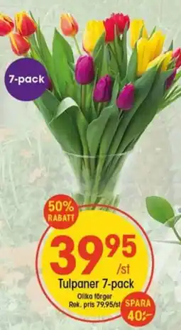EKO Tulpaner 7-pack erbjuda
