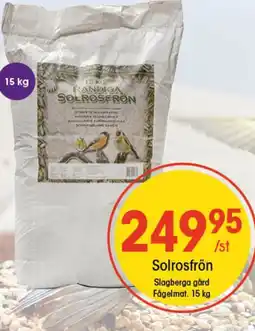 EKO Solrosfrön erbjuda