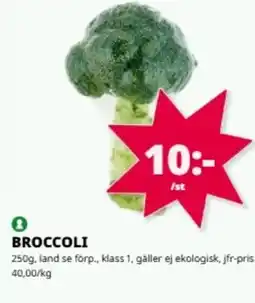 Tempo Broccoli erbjuda