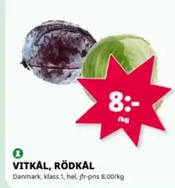 Tempo Vitkal, rödkal erbjuda