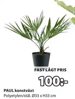 JYSK PAUL konstväxt erbjuda