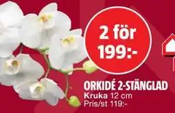 Bauhaus ORKIDÉ 2-STÄNGLAD erbjuda