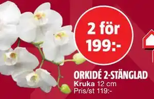 ORKIDÉ 2-STÄNGLAD