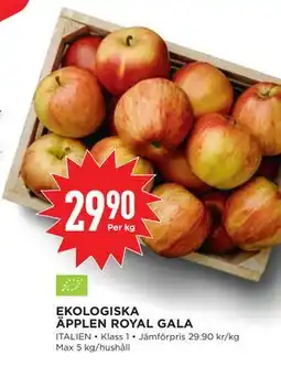 Willys EKOLOGISKA ÄPPLEN ROYAL GALA erbjuda