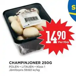 Willys CHAMPINJONER 250G erbjuda