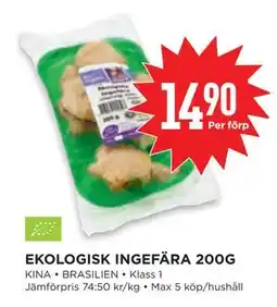 Willys EKOLOGISK INGEFÄRA 200G erbjuda