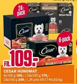 ÖoB CESAR HUNDMAT erbjuda