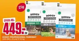 ÖoB DOGGY PROFESSIONAL HUNDMAT erbjuda