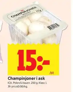 ICA Kvantum Champinjoner i ask erbjuda