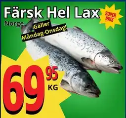 Supergrossen Färsk Hel Lax erbjuda