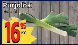 Supergrossen Purjolök erbjuda