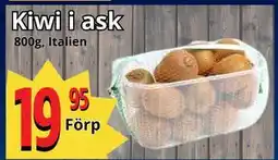 Supergrossen Kiwi i ask erbjuda