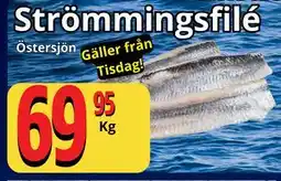 Supergrossen Strömmingsfilé erbjuda