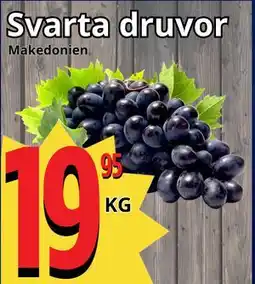 Supergrossen Svarta druvor erbjuda