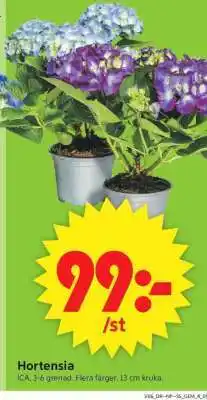 ICA Supermarket Hortensia erbjuda