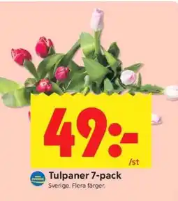 ICA Supermarket TULPANER 7-PACK erbjuda