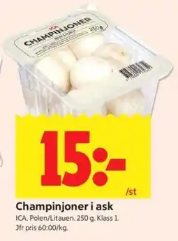 ICA Supermarket CHAMPINJONER I ASK erbjuda