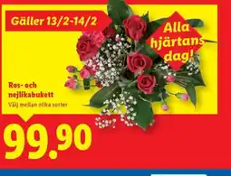 Lidl Ros- och nejlikabukett erbjuda