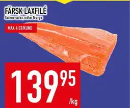 Matdax Färsk laxfile erbjuda