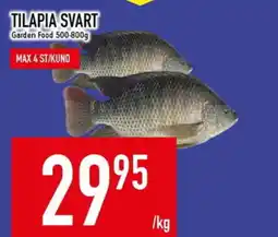 Matdax Tilapia svart erbjuda