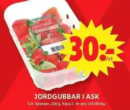 ICA Maxi ICA Jordgubbar i ask erbjuda